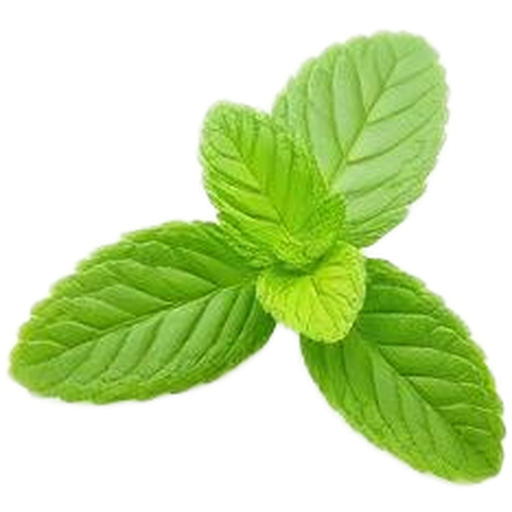 Mint flavor